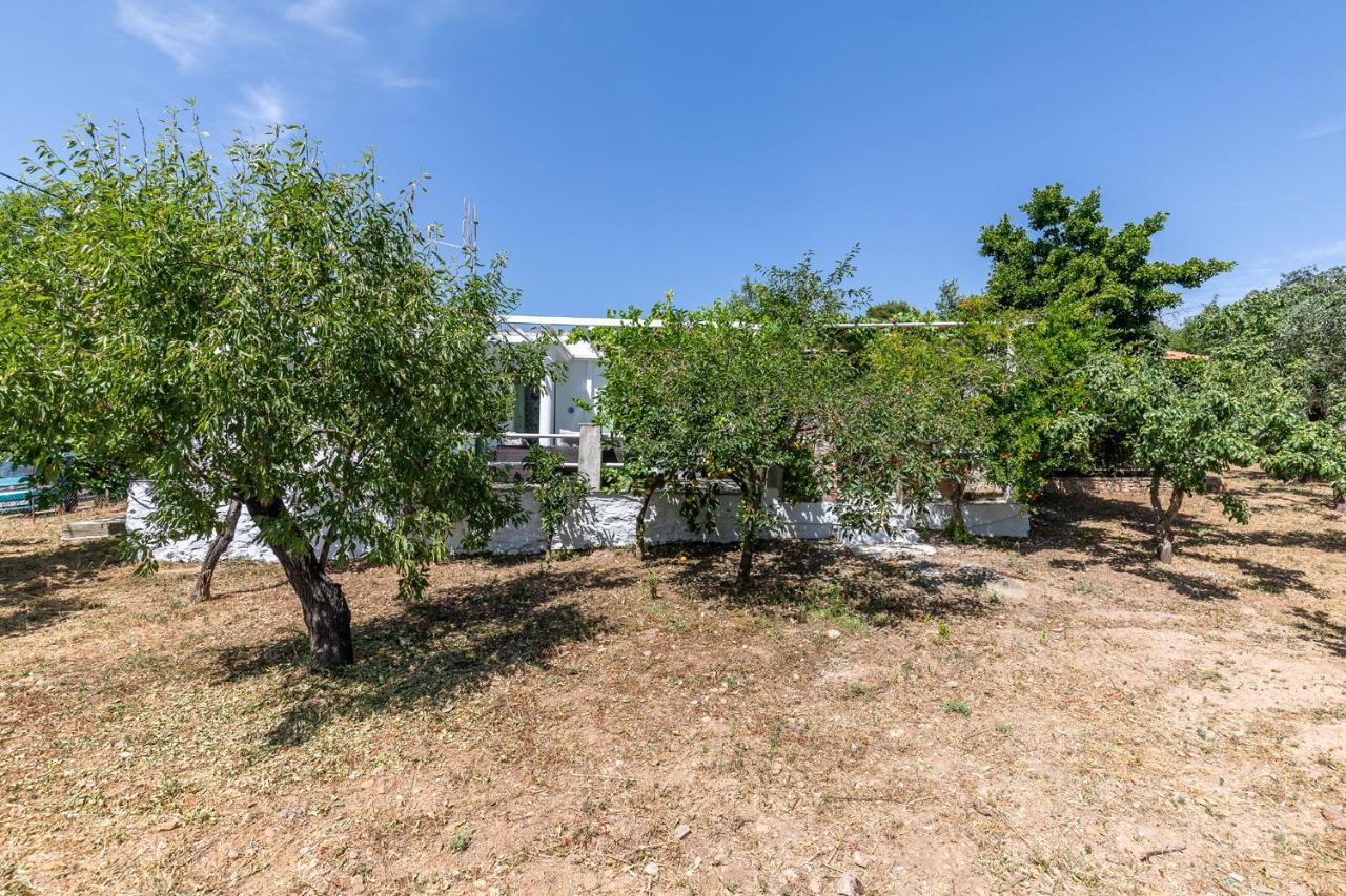 Skopelos Amigdalia Cottage Екстер'єр фото